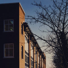 Descriptive Image Name